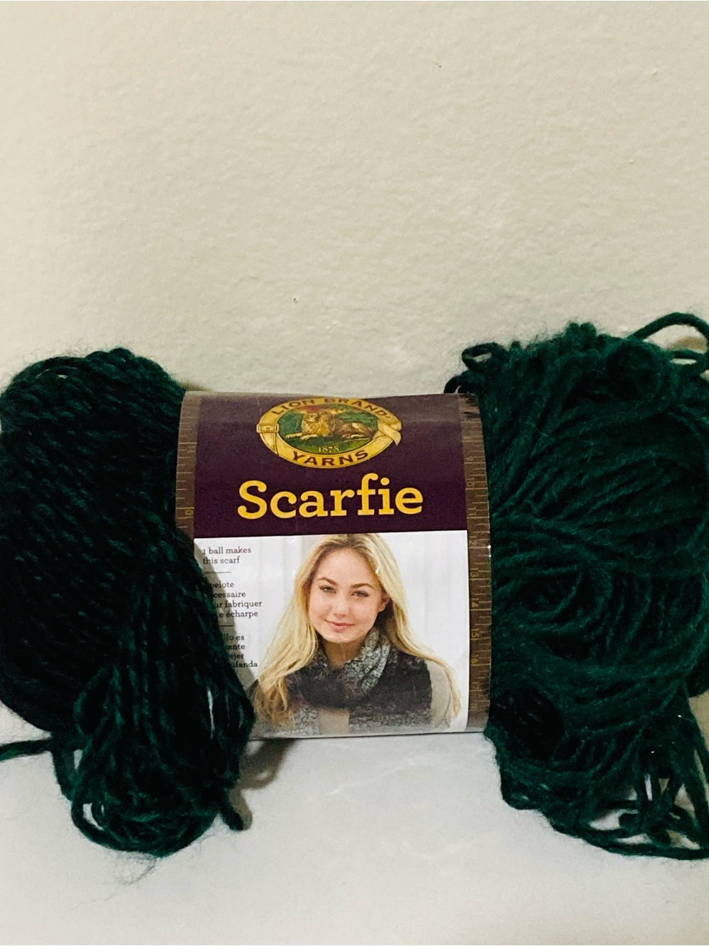 NEW Lion Brand Scarfie Yarn Color: Forest‎ Black